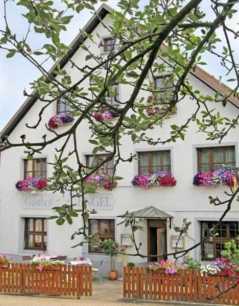 Hotel Restaurant Engel Pfaffenweiler Kültér fotó